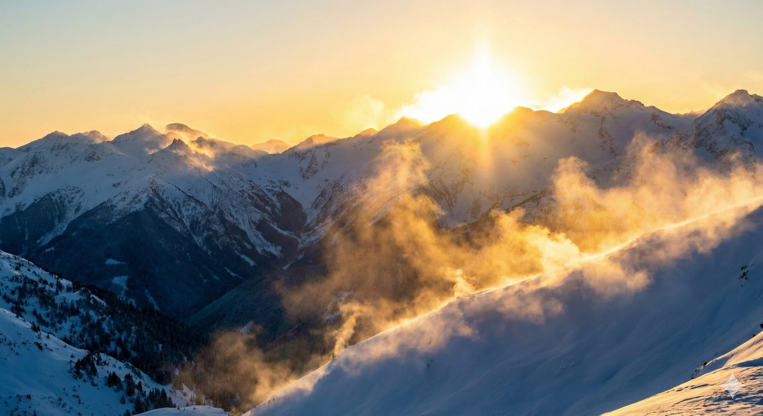 떠오르는 태양의 열기가 대지를 데우듯 세포 속 미토콘드리아가 에너지를 생성하는 경이로운 생명의 일출.